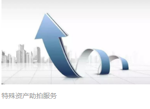 特殊资产助拍服务